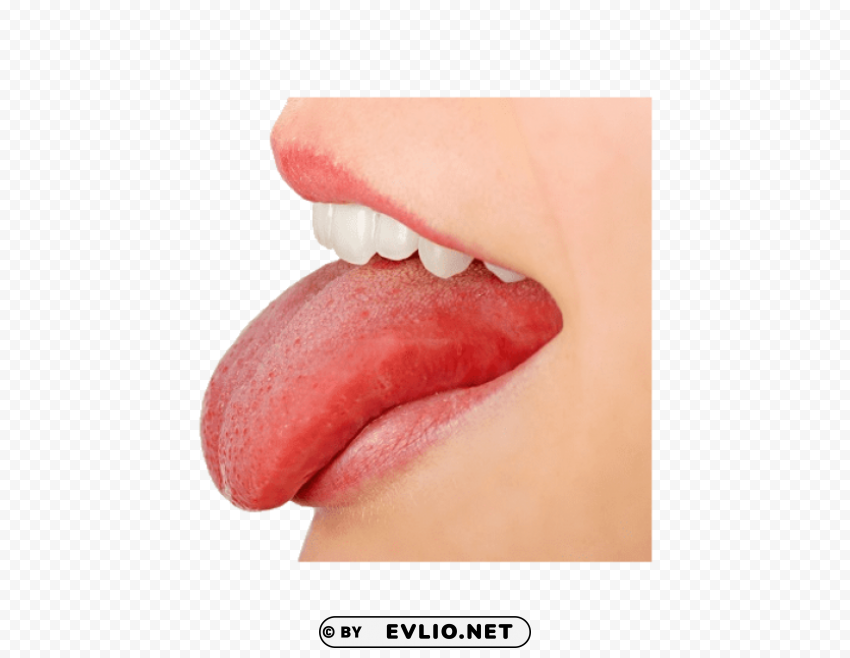 Tongue Isolated Artwork On Clear Background PNG