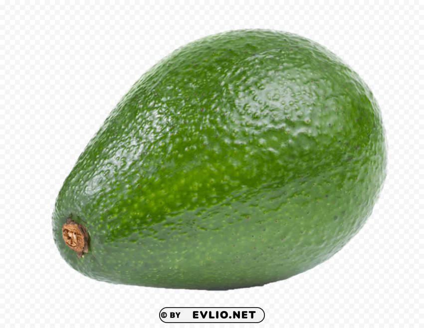 avocado PNG Graphic with Clear Background Isolation