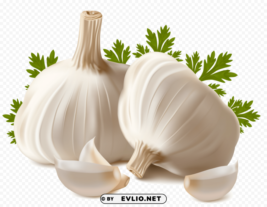 garlic Clear PNG image