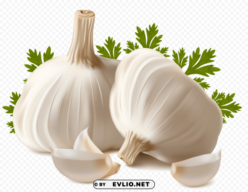 Garlic Clear PNG Image