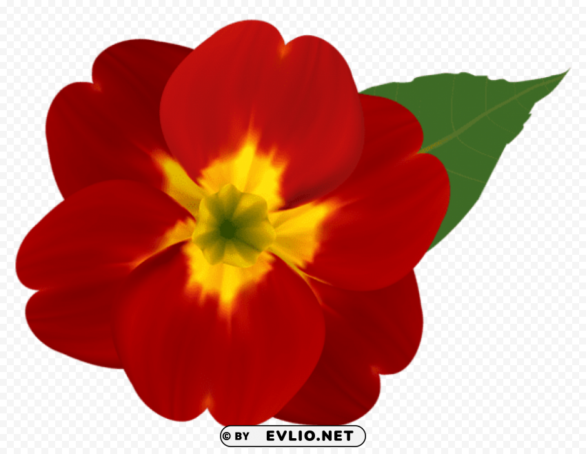 PNG image of red and yellow flower PNG images with transparent canvas variety with a clear background - Image ID 200bd3c6