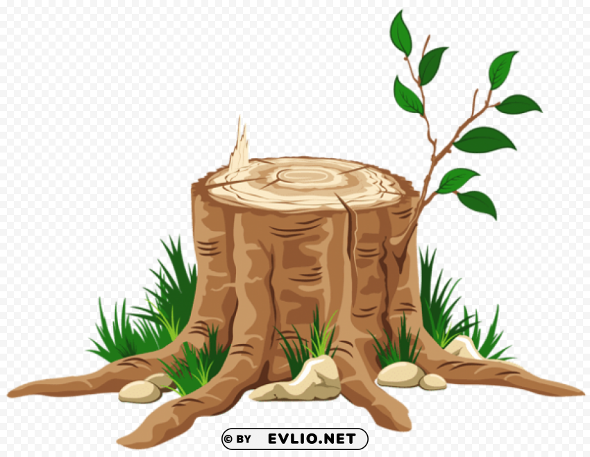 transparent tree stump PNG files with alpha channel