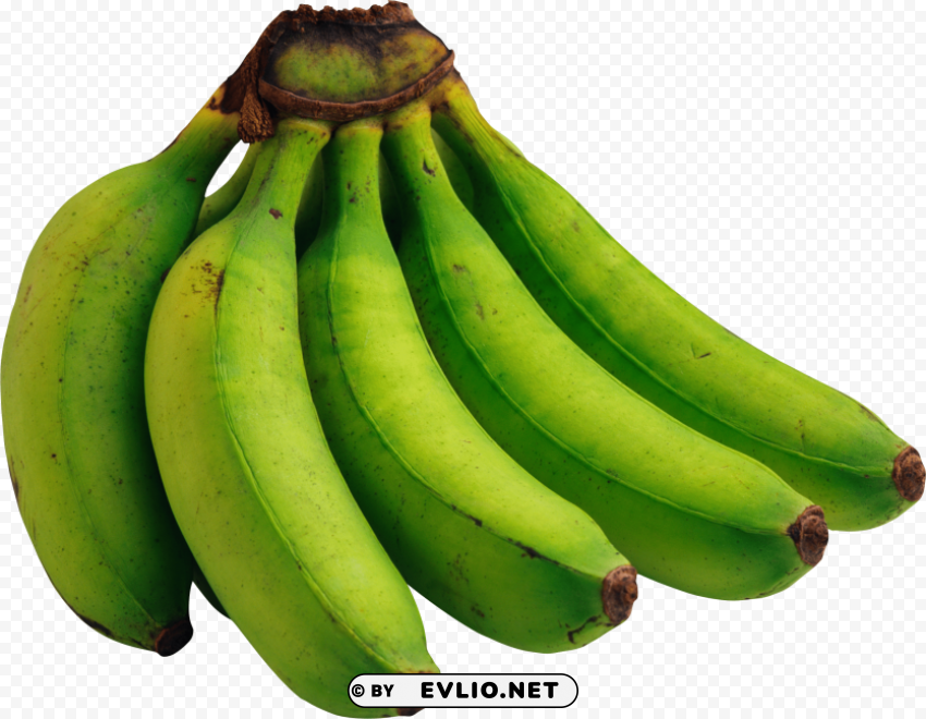 Blue Bananas Transparent PNG Pictures Complete Compilation
