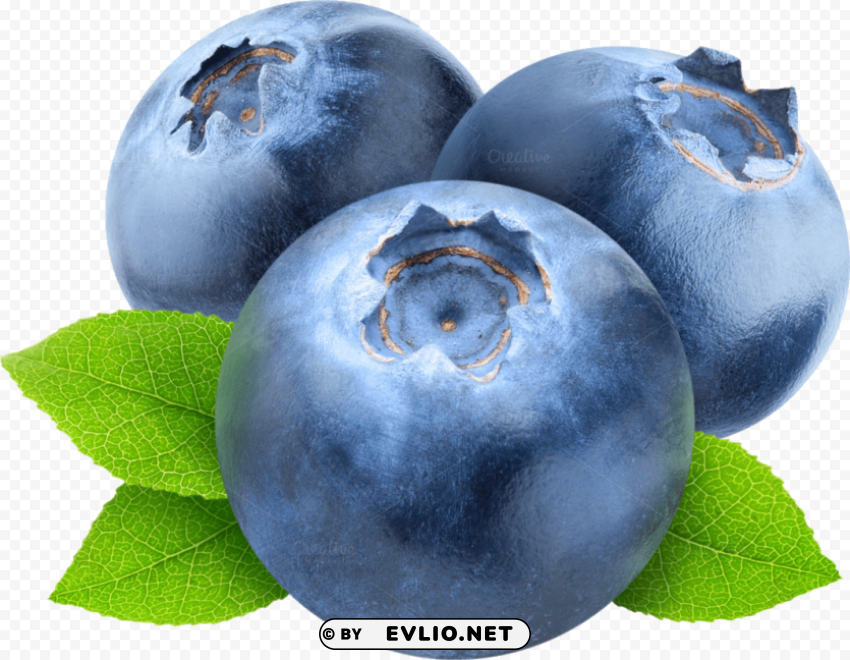 blueberries PNG Graphic with Isolated Clarity
