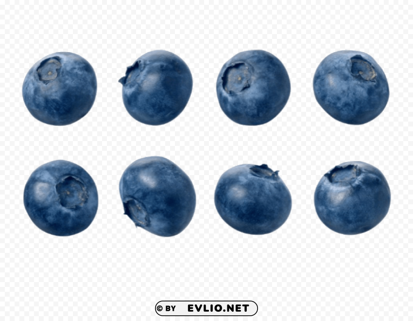 blueberrys variations PNG transparent photos assortment