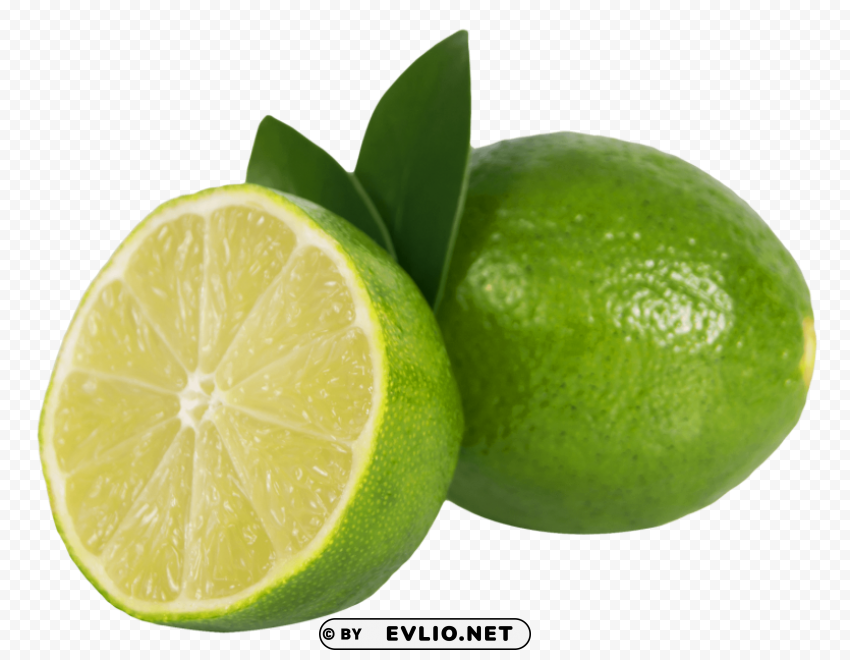 Lime Sliced PNG file with no watermark