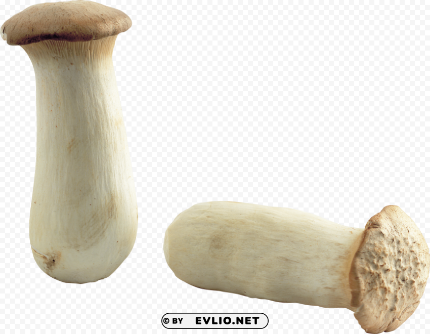 mushroom PNG images alpha transparency