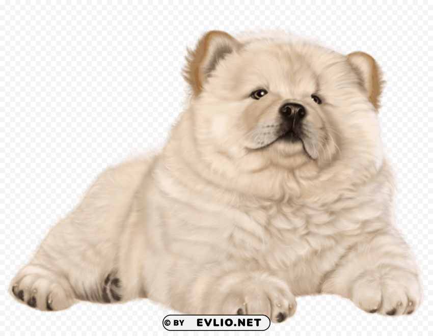 puppy PNG Image with Isolated Graphic