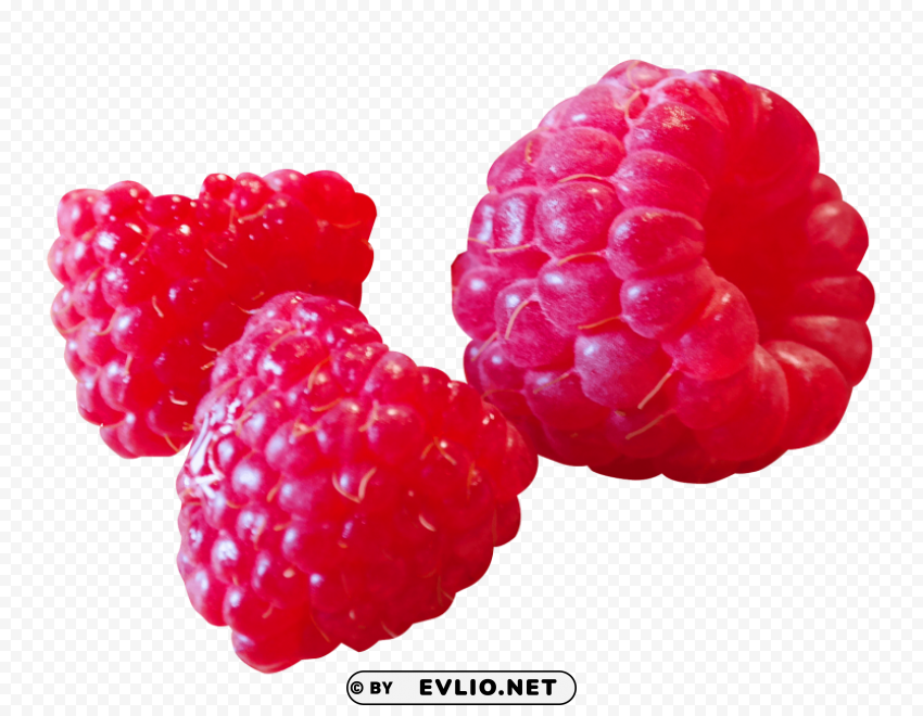 Raspberry Isolated Object in Transparent PNG Format
