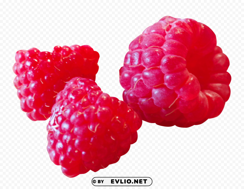 raspberry PNG transparent images extensive collection