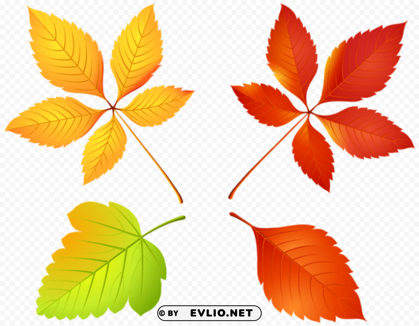 autumn leaves set PNG Image with Isolated Subject