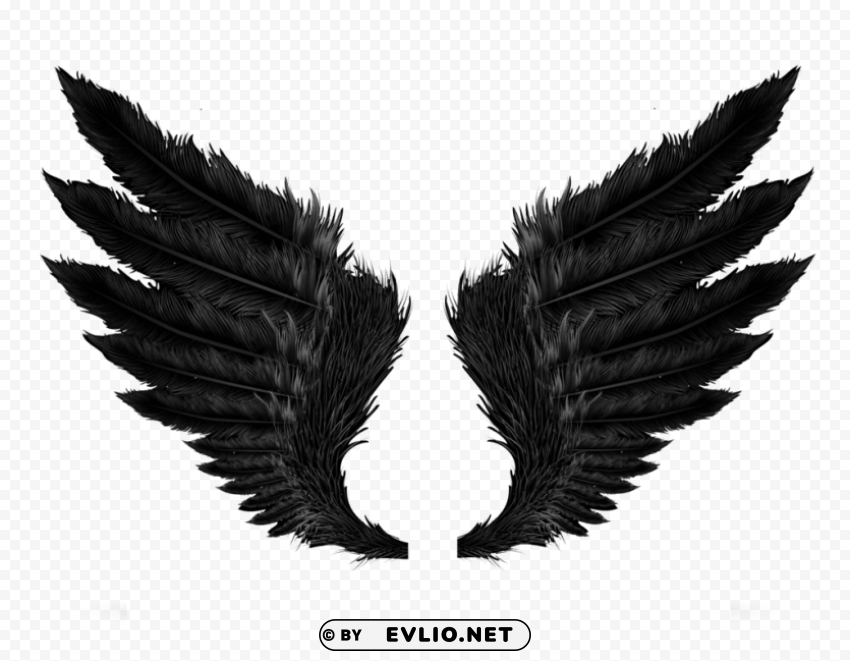 black angel wings PNG with no background required PNG transparent with Clear Background ID c684f5f8