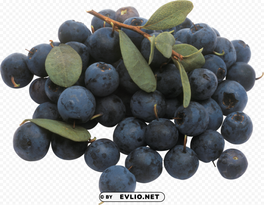 blueberries Isolated Object with Transparent Background in PNG