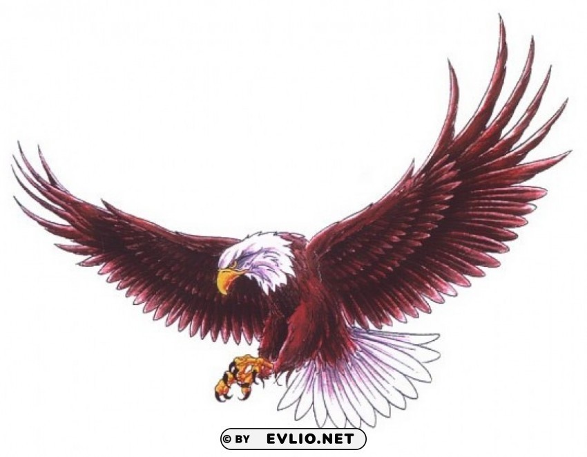 Eagle2 Transparent Background Isolation In PNG Image