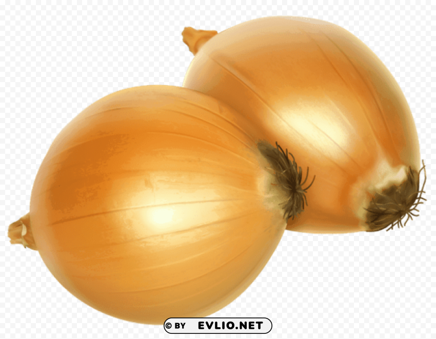 onion Isolated Graphic with Clear Background PNG