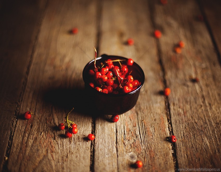 rowan berries rowanberry timber wallpaper PNG images with transparent canvas