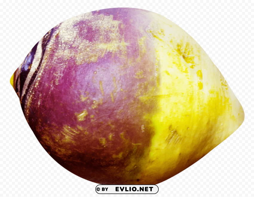 rutabaga PNG graphics with alpha transparency bundle PNG images with transparent backgrounds - Image ID 53374cd1