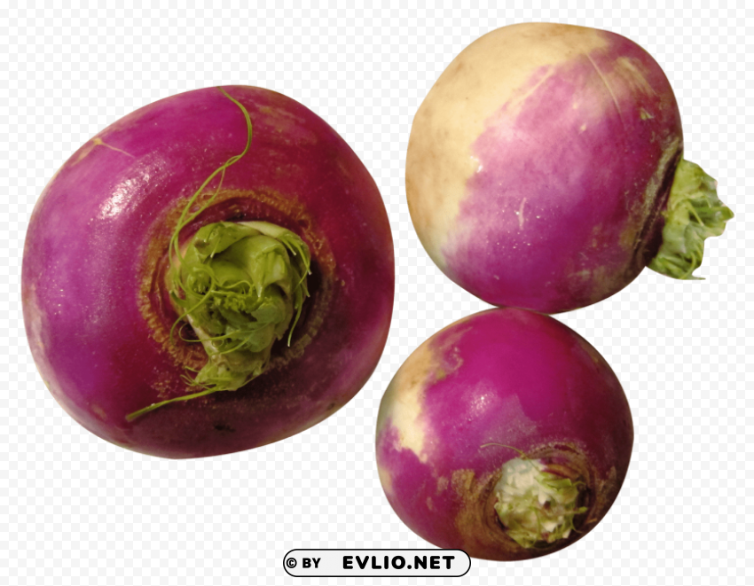 turnip PNG graphics with clear alpha channel broad selection