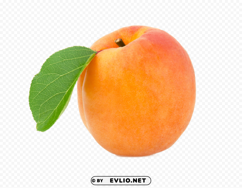 apricot Transparent PNG Isolated Illustrative Element