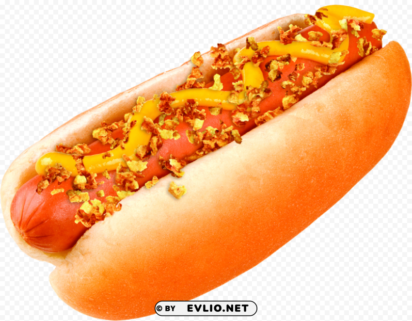 hot dog Isolated Design Element in HighQuality PNG