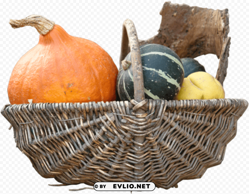 pumpkin Isolated Illustration on Transparent PNG