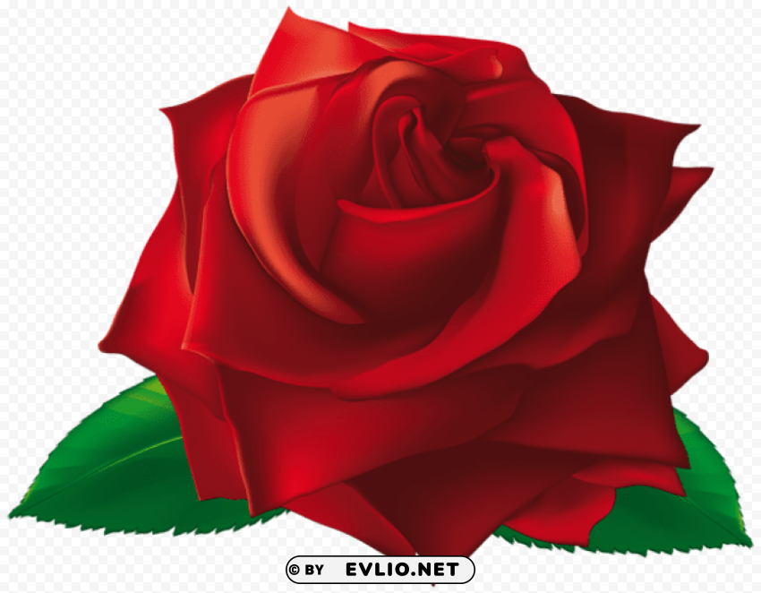 red single rose HighQuality Transparent PNG Isolated Art