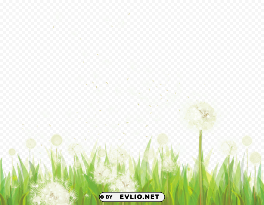 transparent grass with dandelions Clean Background Isolated PNG Image