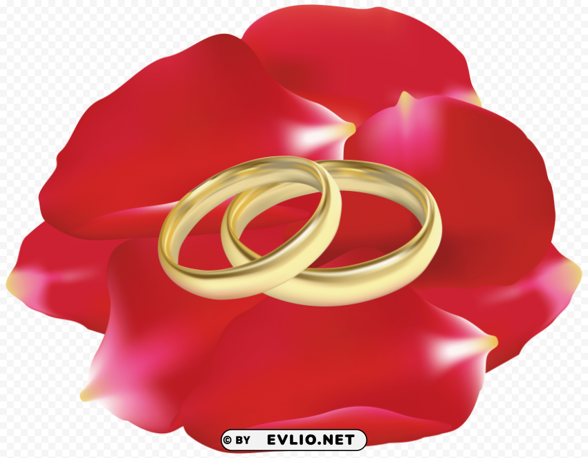 wedding rings in rose petals High-resolution PNG images with transparency wide set