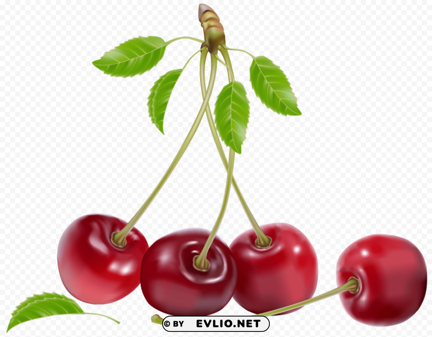 cherries Isolated Icon on Transparent Background PNG
