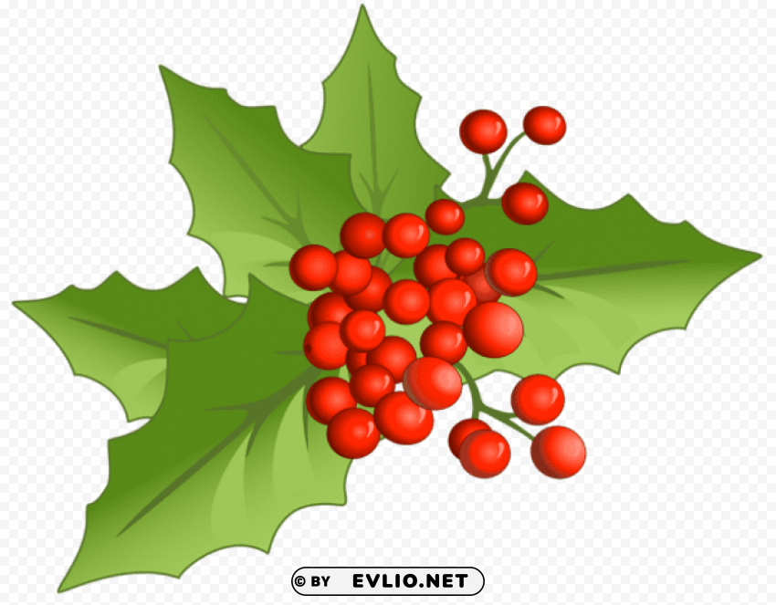 christmas large mistletoe Transparent PNG images for design