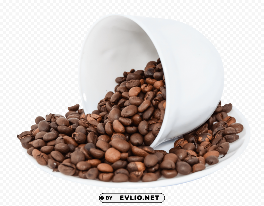 coffee beans PNG image with no background