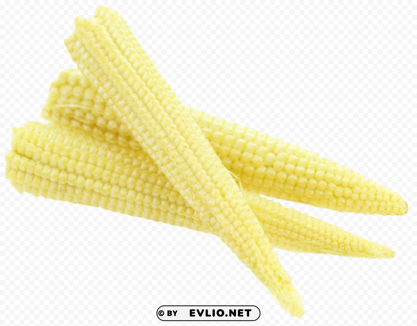 fresh baby corn Isolated Item on Clear Transparent PNG