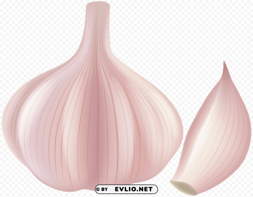 garlic PNG Object Isolated with Transparency
