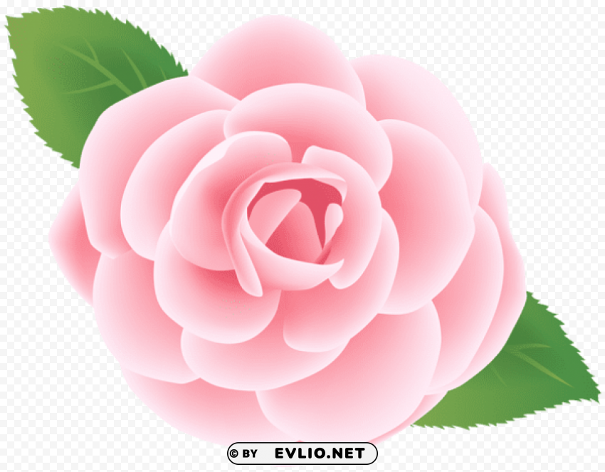 PNG image of pink flower deco Isolated Graphic on HighResolution Transparent PNG with a clear background - Image ID df87e2a2
