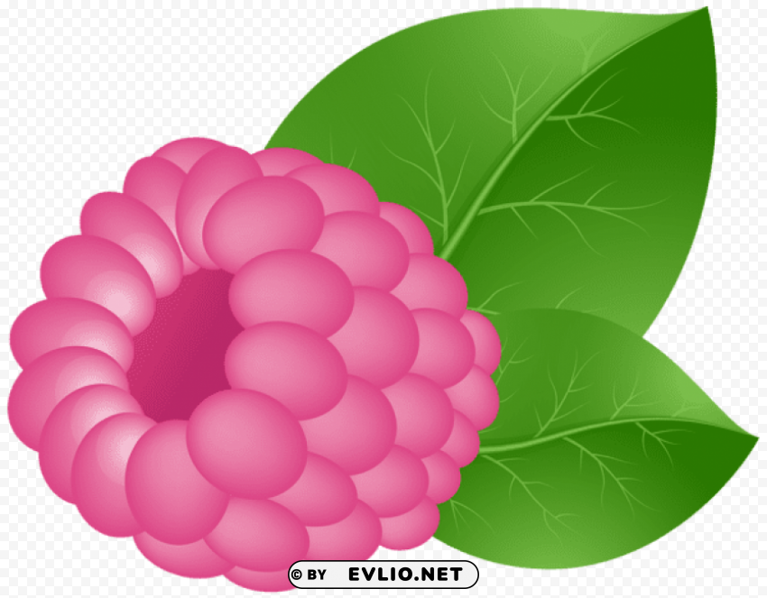 Raspberry Transparent PNG Picture