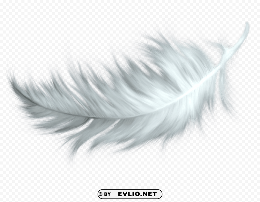 White Feather PNG Image Isolated With Transparency