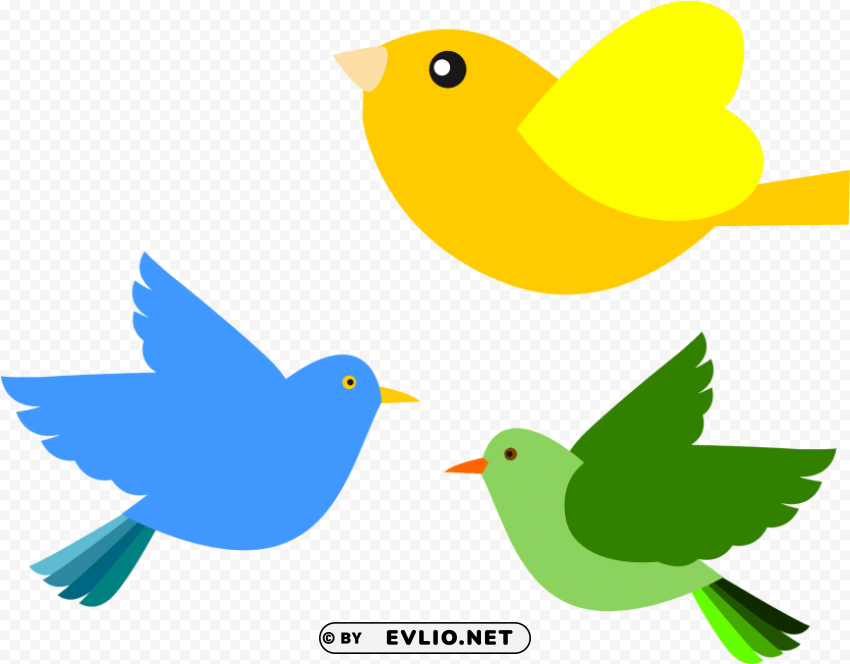 bird PNG images without watermarks PNG transparent with Clear Background ID dfc99517