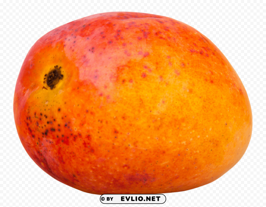 Mango PNG artwork with transparency