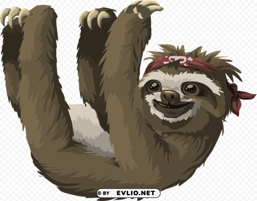 sloth hanging PNG images with no background needed