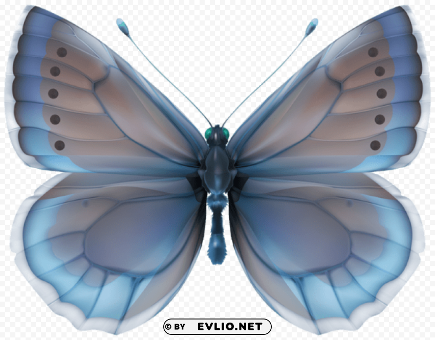 Blue Butterfly HighQuality Transparent PNG Isolated Artwork