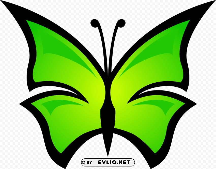 Butterfly HighResolution Transparent PNG Isolation