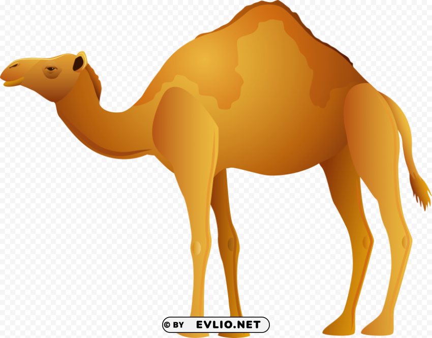 camel Isolated Icon with Clear Background PNG