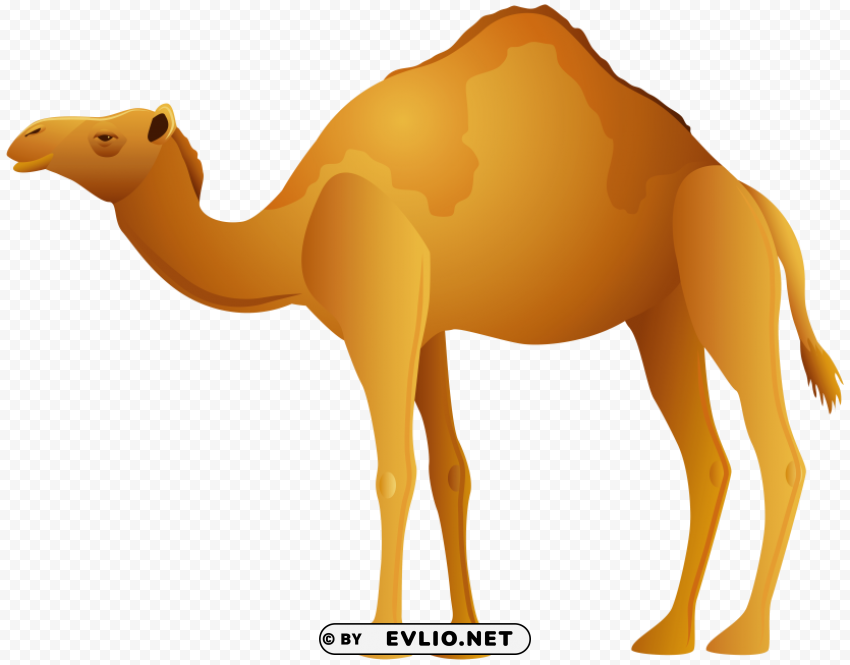 camel PNG Graphic with Transparent Isolation