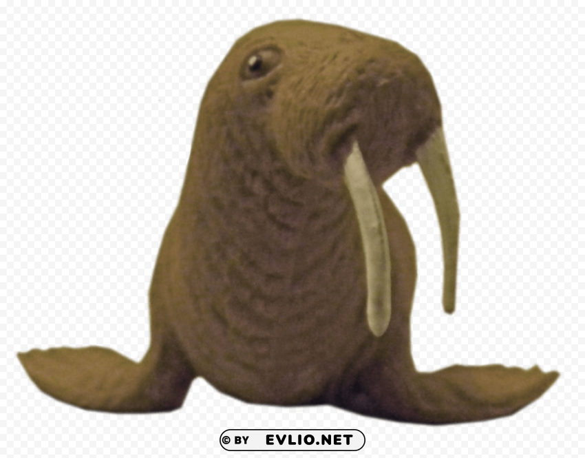 Walrus ClearCut Background Isolated PNG Graphic Element