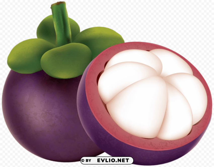 mangosteen Transparent PNG pictures archive