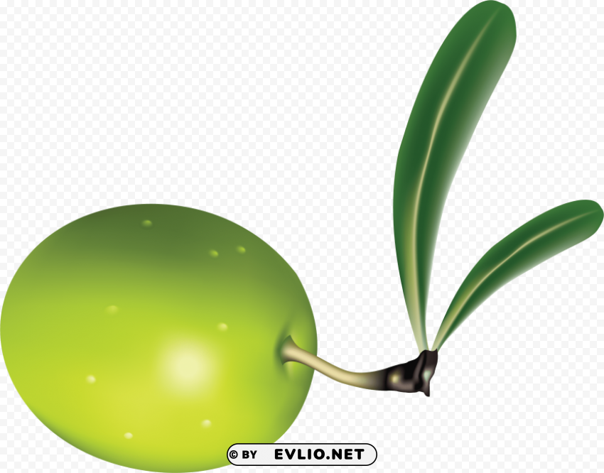 olives PNG files with alpha channel clipart png photo - 3de42cac