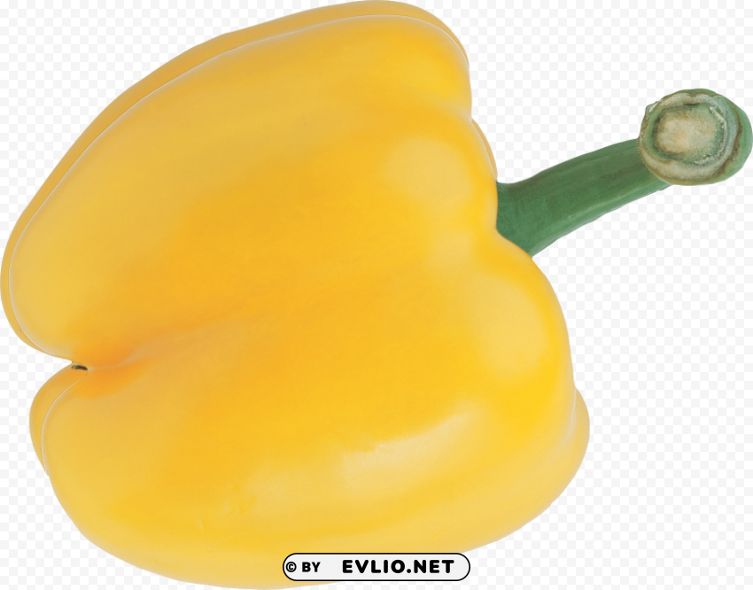 pepper PNG Graphic Isolated on Clear Background
