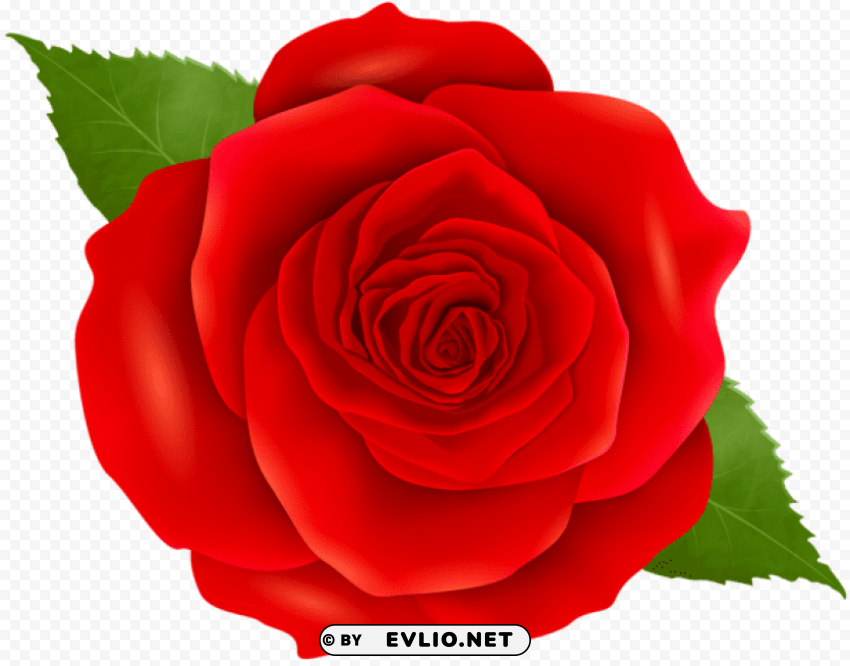 PNG image of red rose transparent PNG Image with Isolated Element with a clear background - Image ID 771722f4