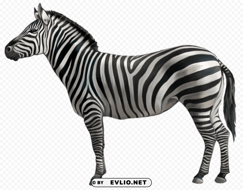 zebra PNG files with alpha channel