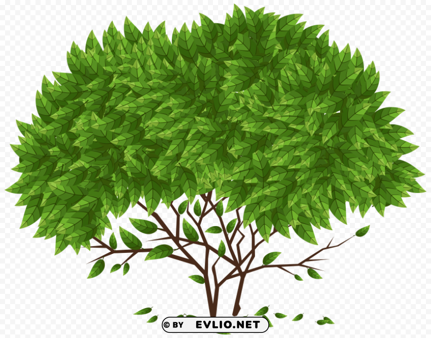 tree PNG graphics for free